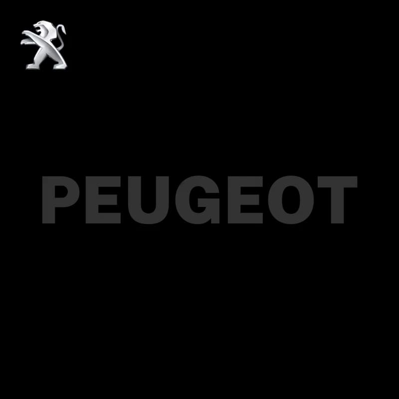 S.Plaque Peugeot